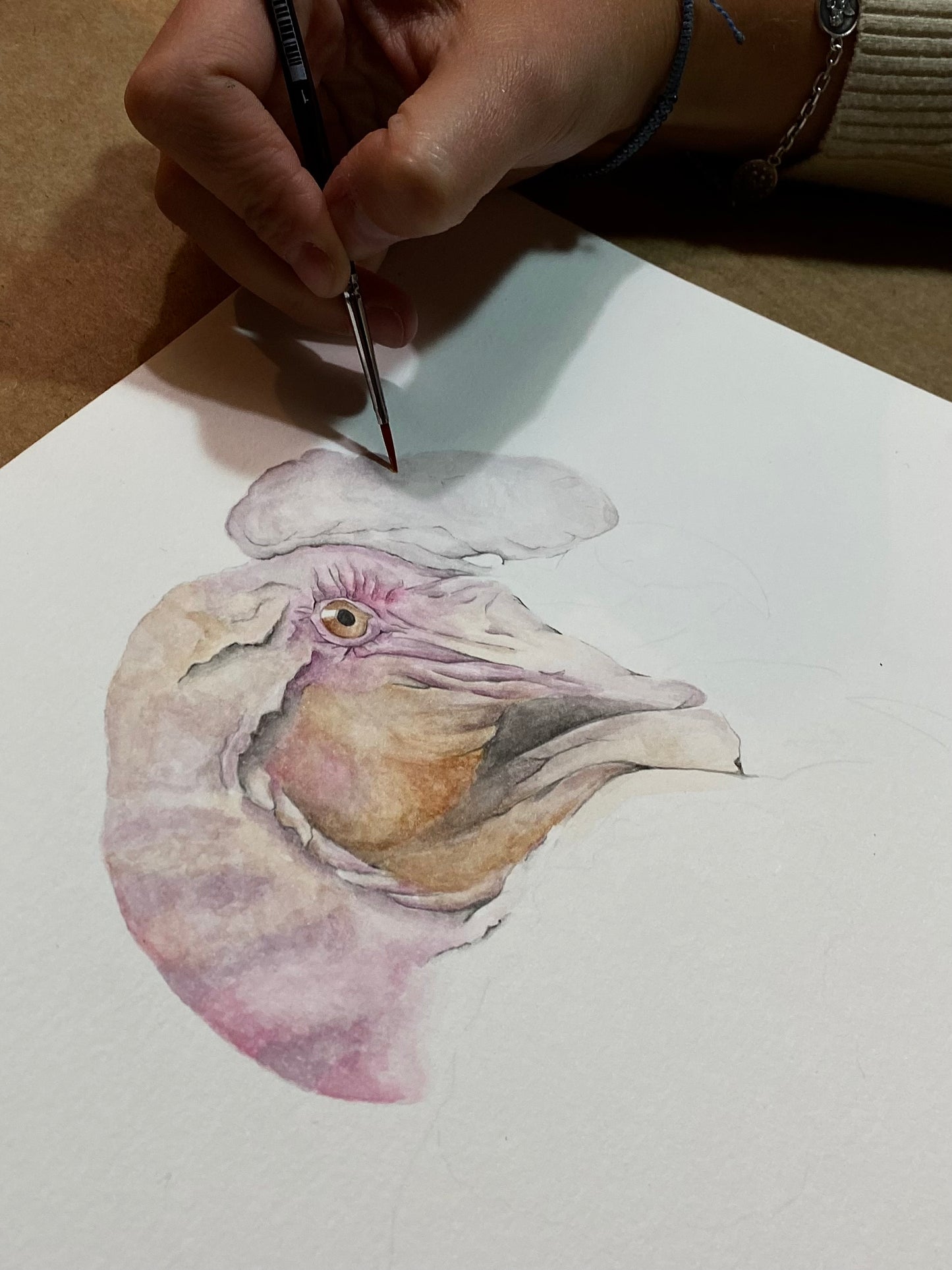 Taller Acuarela Aves