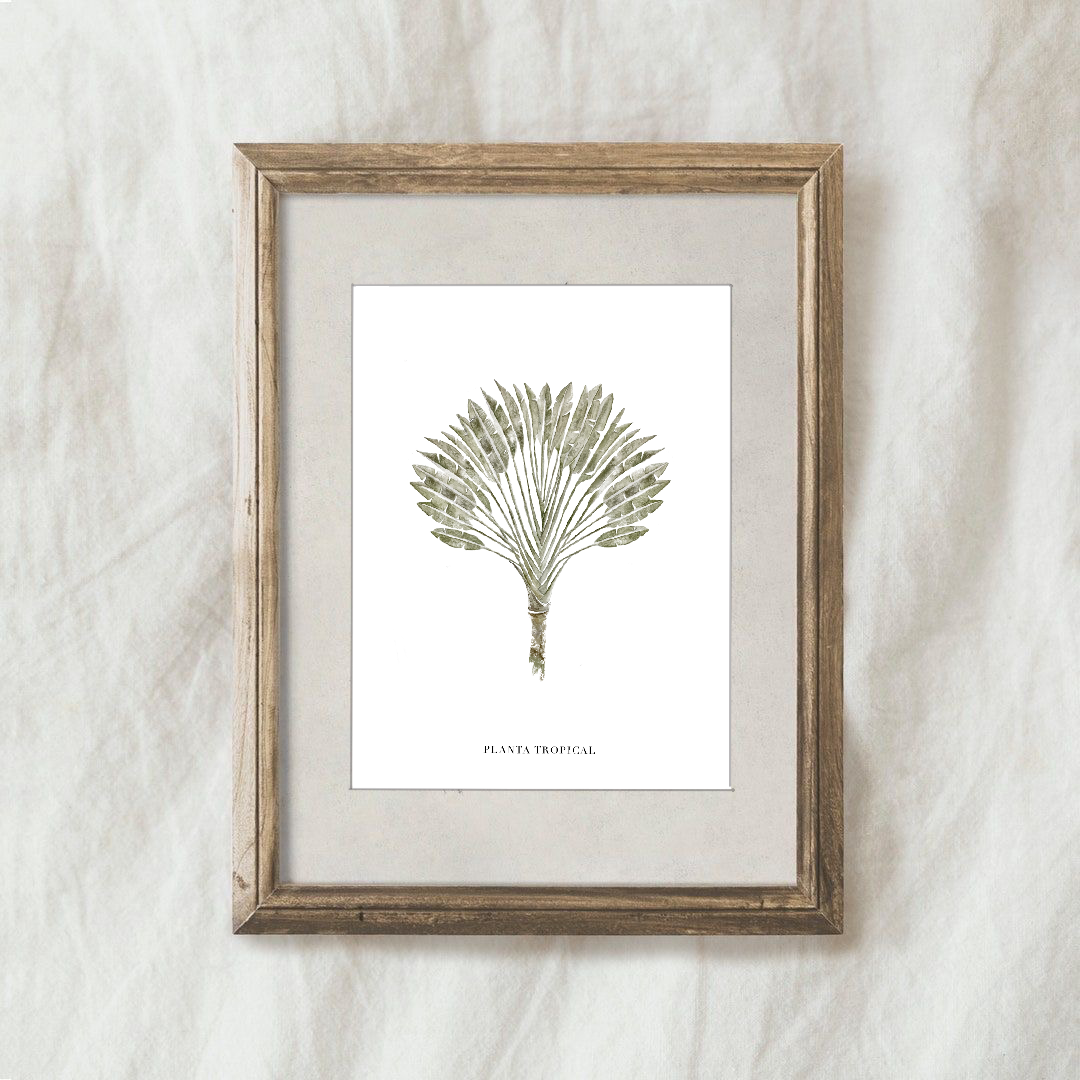 Lámina Planta Tropical