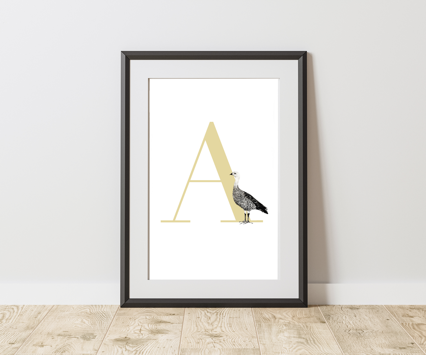 Inicial Nombre Ganso De Magallanes (A)