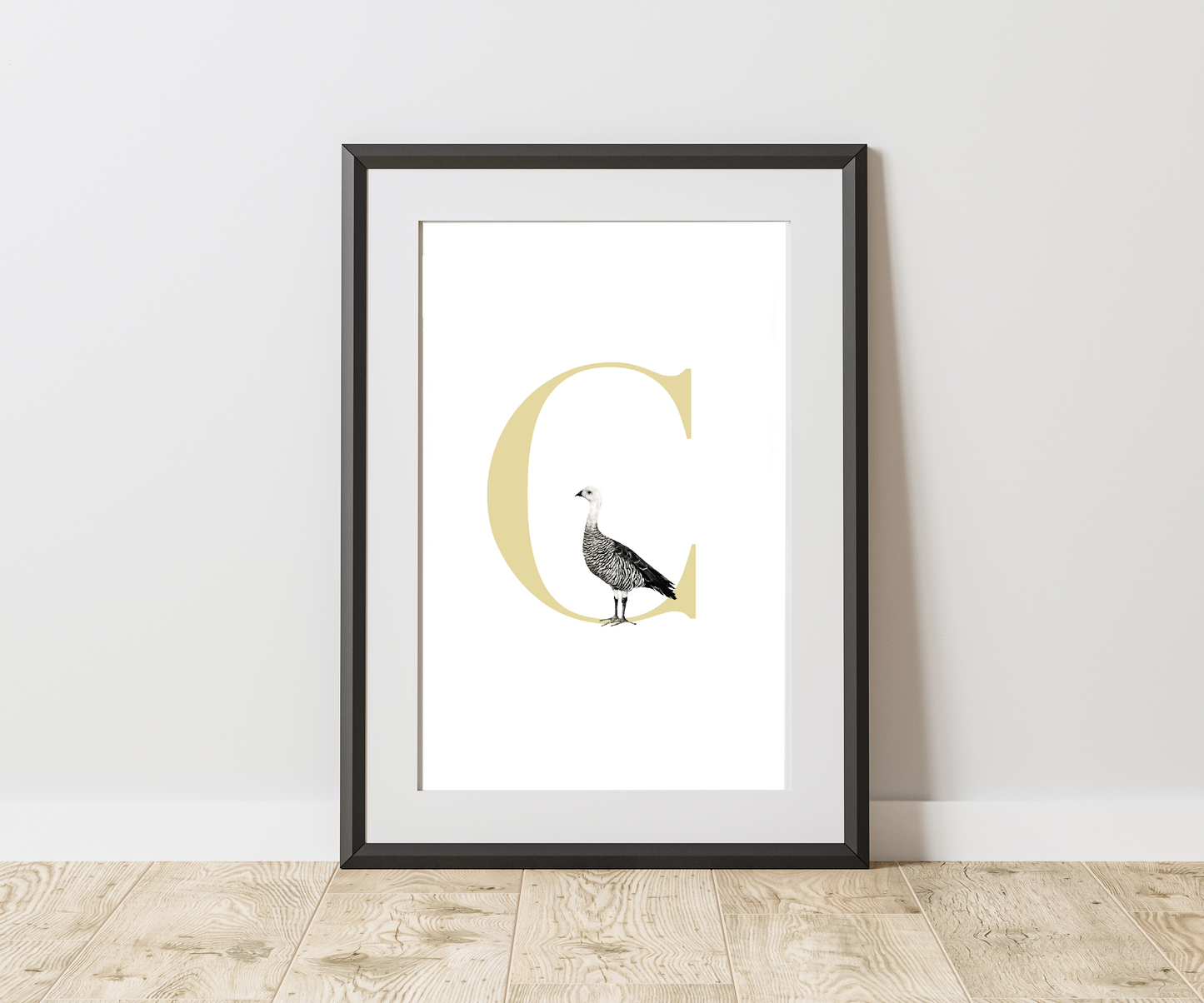 Inicial Nombre Ganso De Magallanes (C)