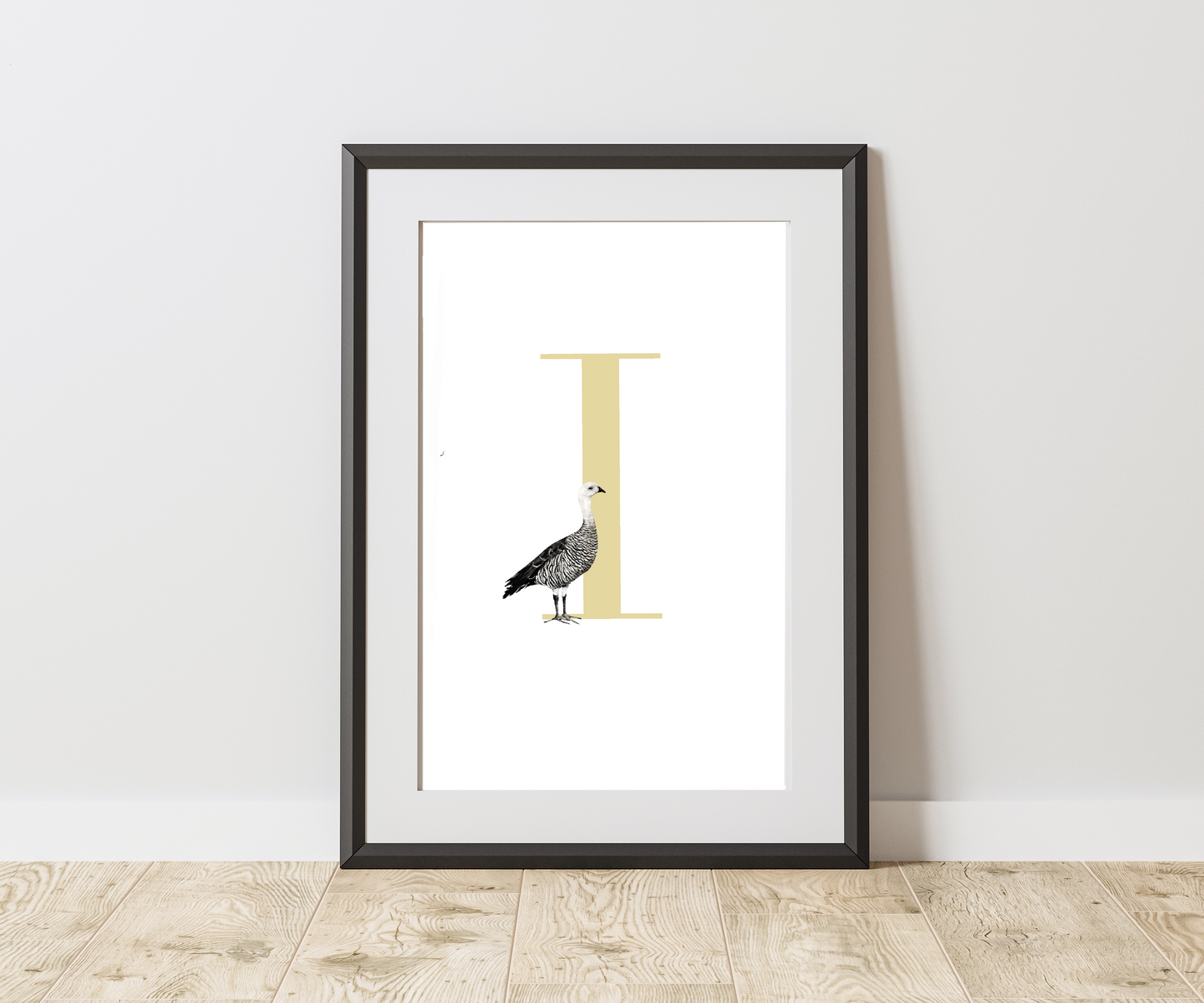 Inicial Nombre Ganso De Magallanes (I)