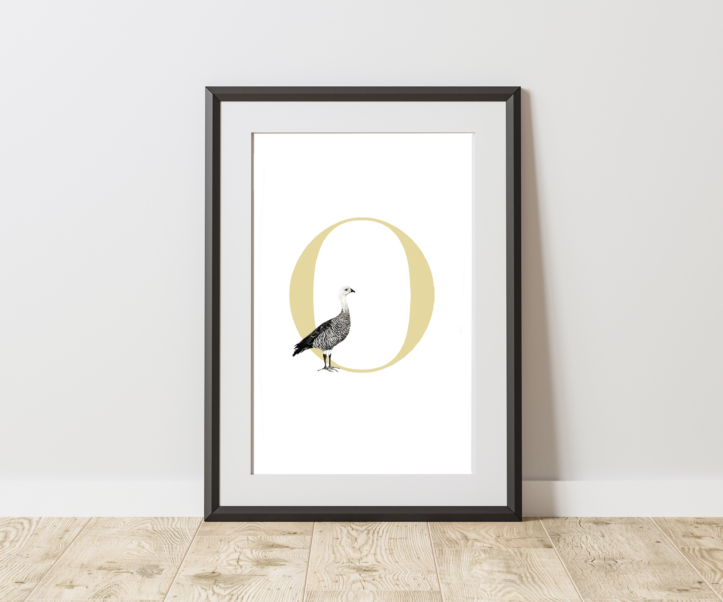 Inicial Nombre Ganso De Magallanes (O)