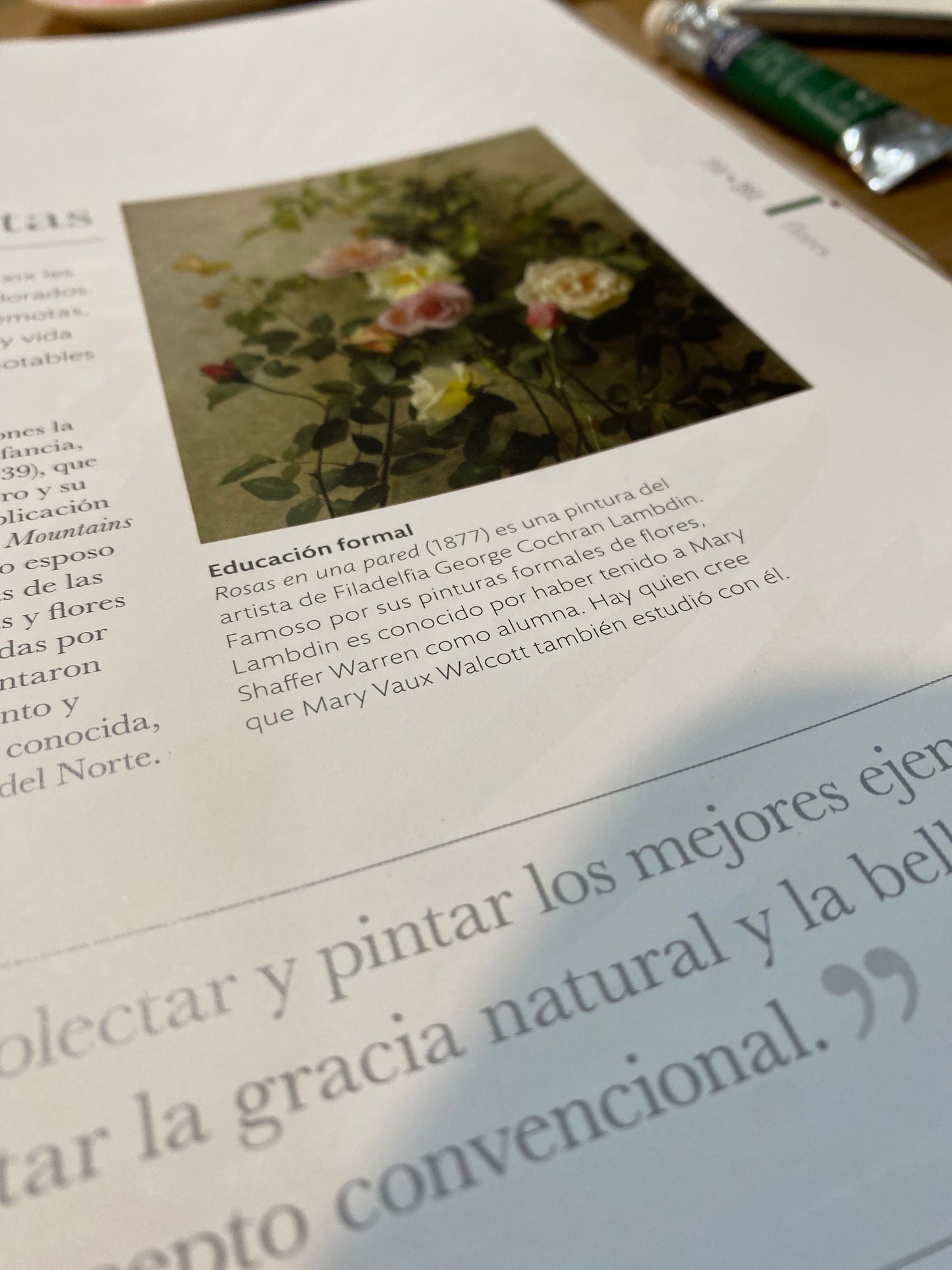 Taller Acuarela Botánica