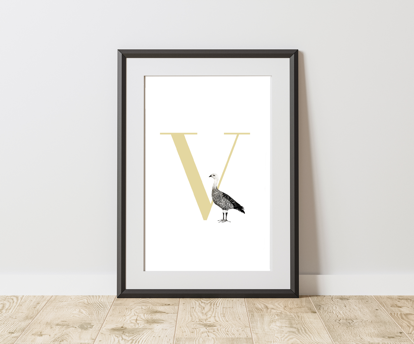 Inicial Nombre Ganso De Magallanes (V)