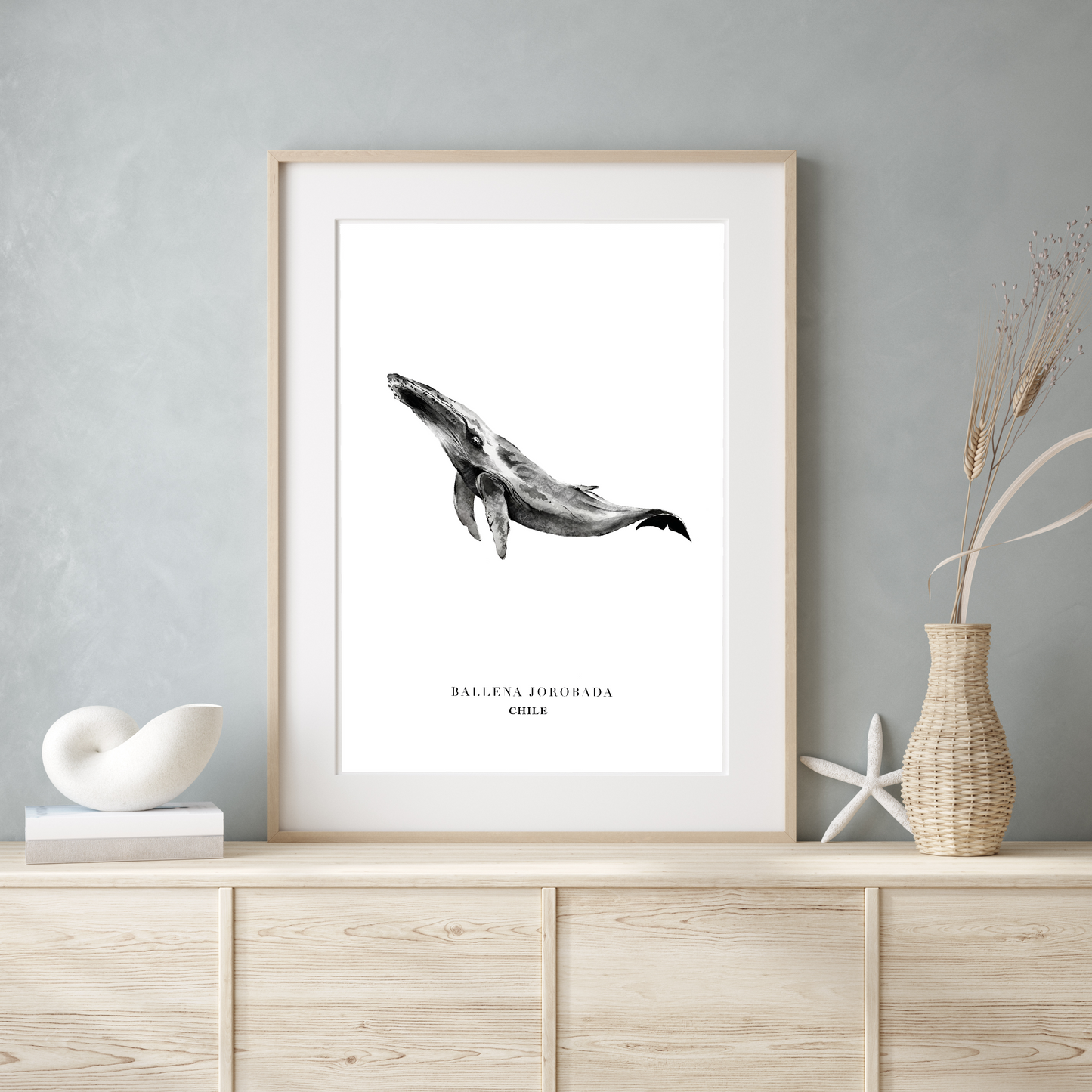 Lámina Ballena Azul