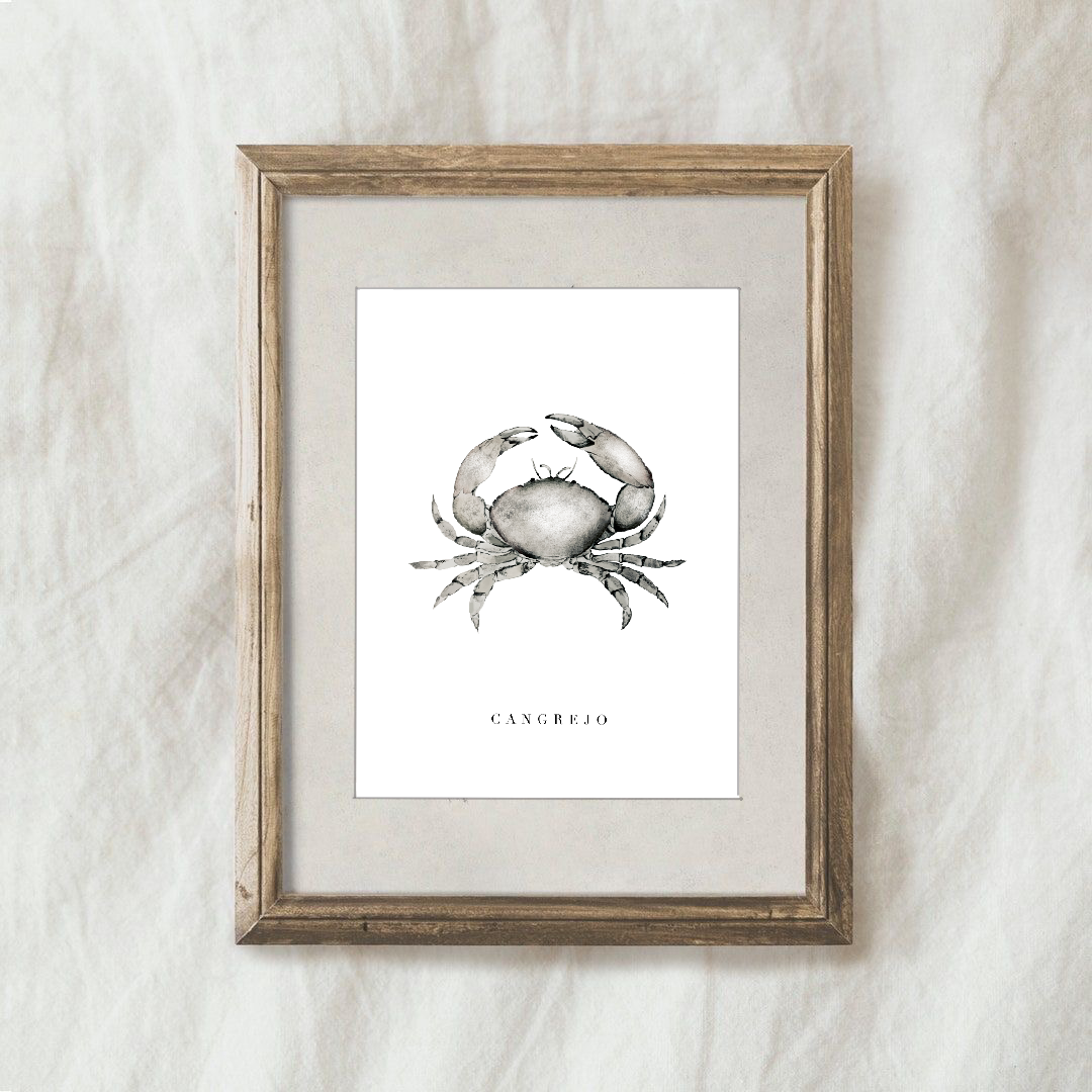 Lámina Cangrejo