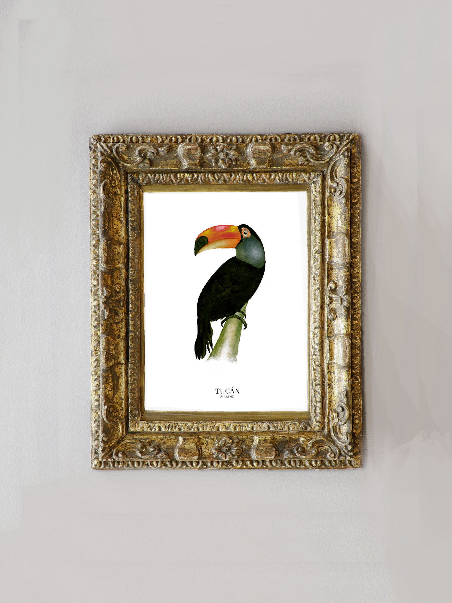 Lámina Tucán (Verde)