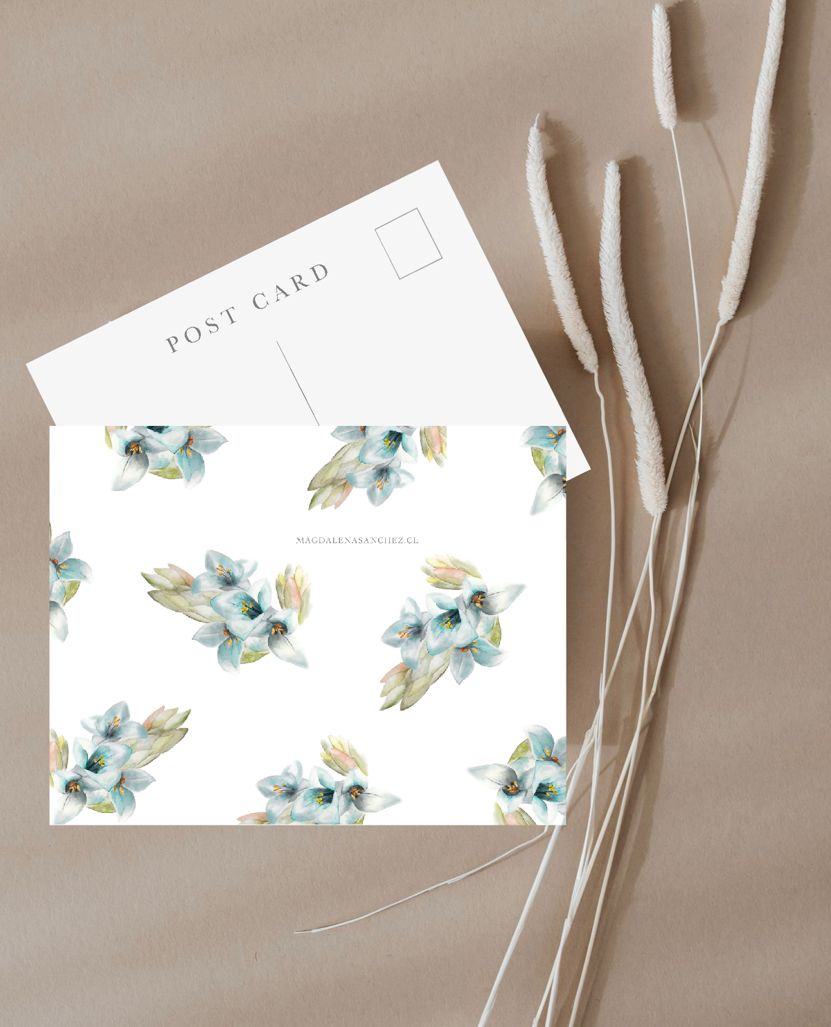 Postal Chagual