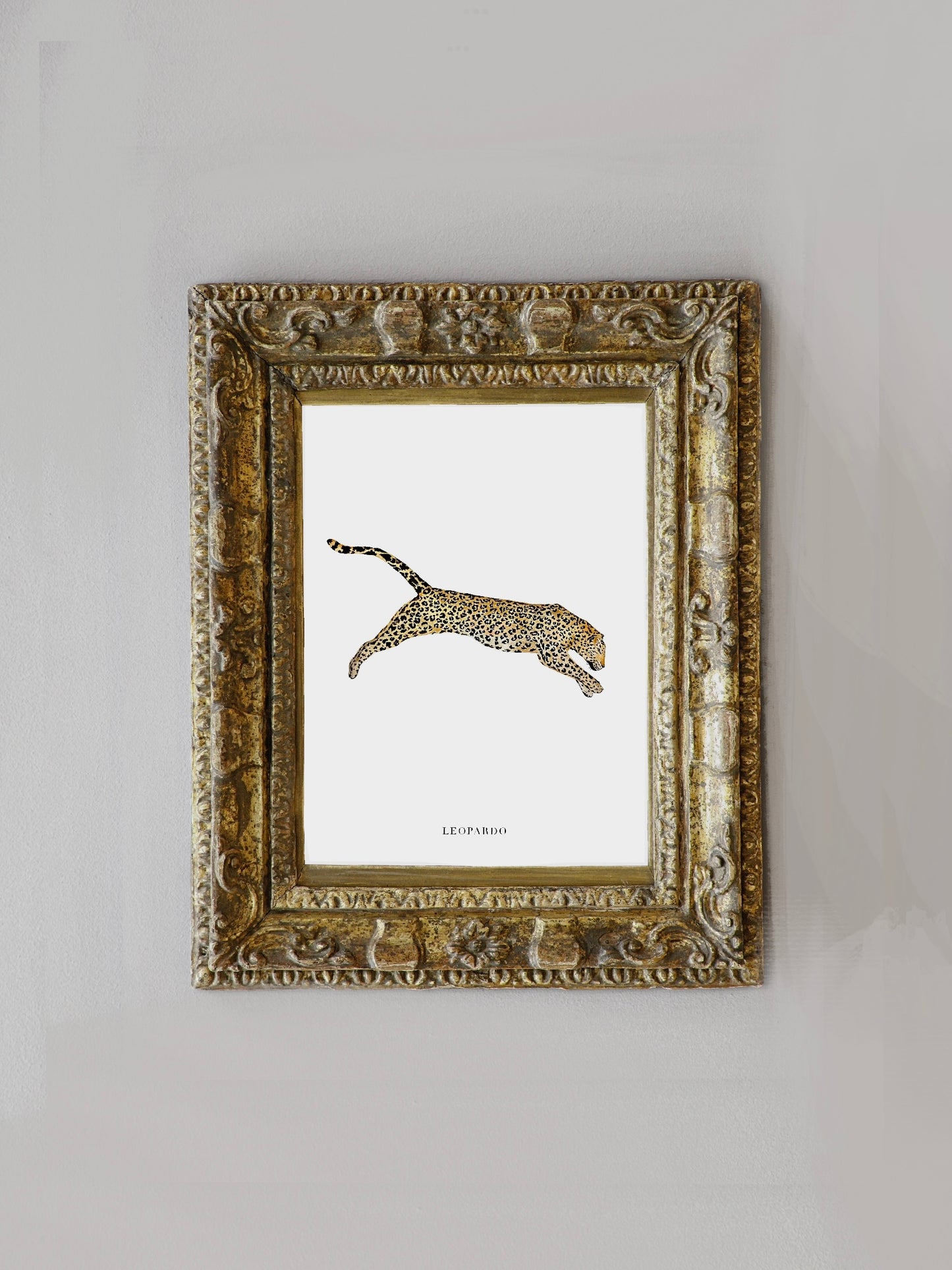 Lámina Leopardo
