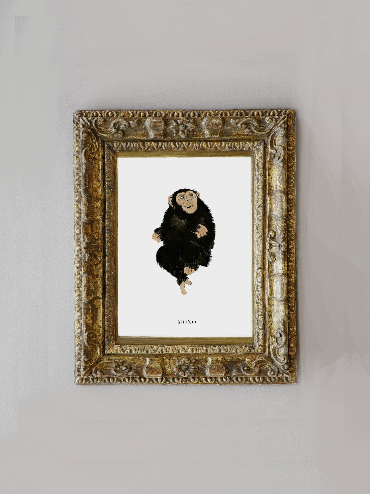 Lámina Mono
