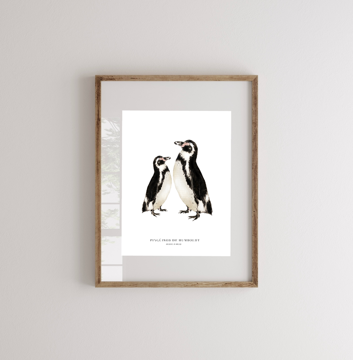 Lámina Pingüinos De Humboldt (Madre & hijo)