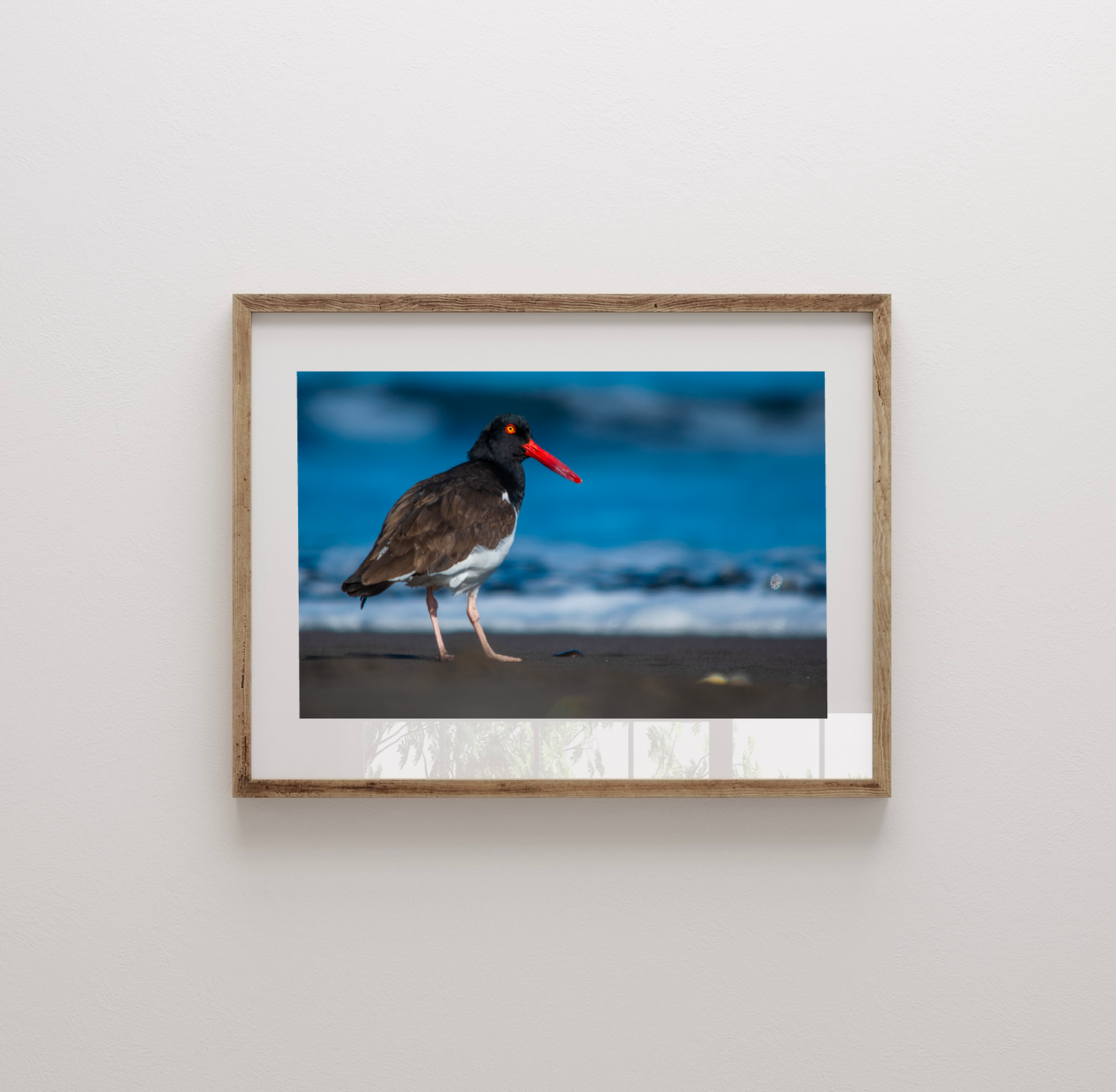 Fotografía Pilpilen