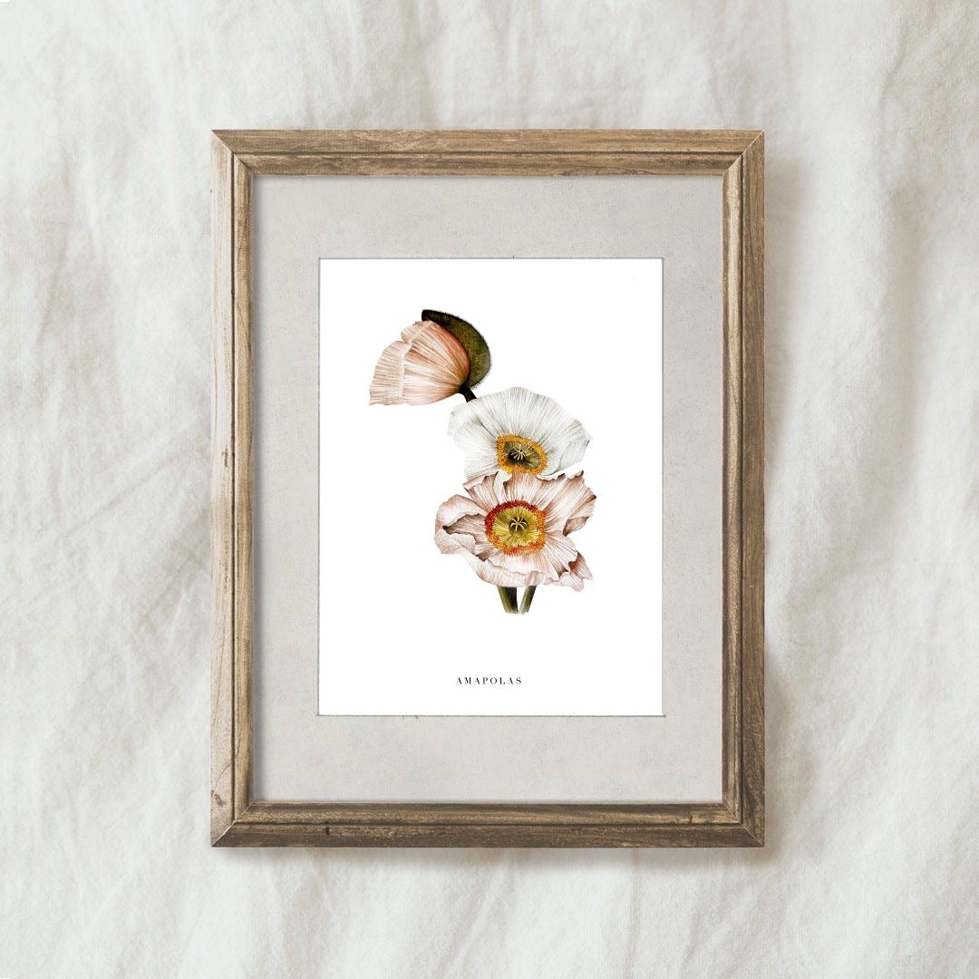 Lamina Amapolas