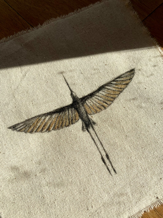 Grulla a Carboncillo