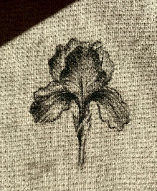 Iris a Carboncillo