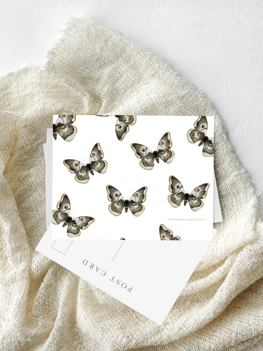 Postal Polythisana Cinerascens