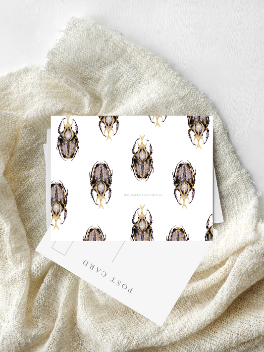 Postal Megalorrhina Harrisi