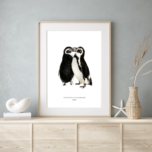 Lámina Pingüinos De Humboldt Abrazados