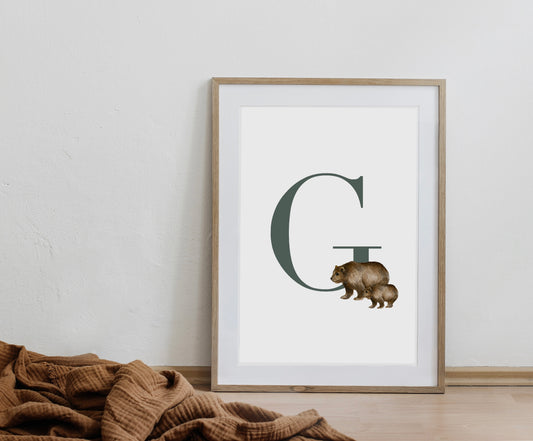 Inicial Nombre Osos (G)