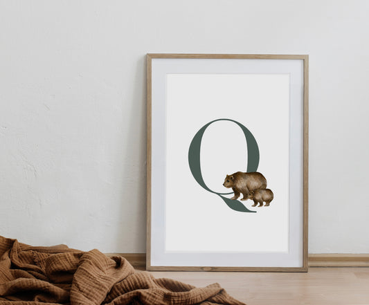 Inicial Nombre Osos (Q)