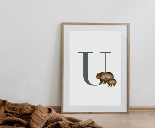 Inicial Nombre Osos (U)