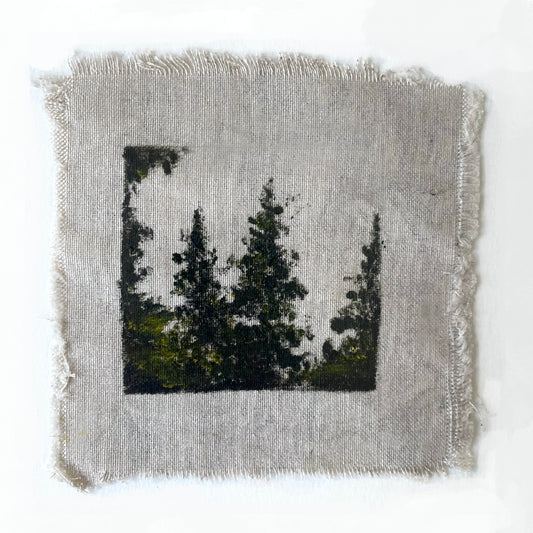 Pinos en géneros