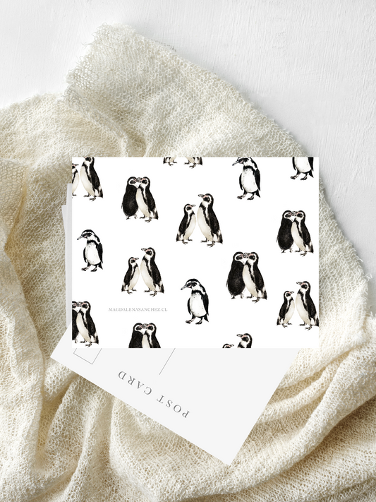 Postal Pingüinos