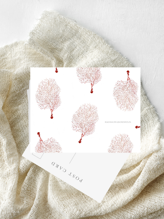 Postal Coral Rojo