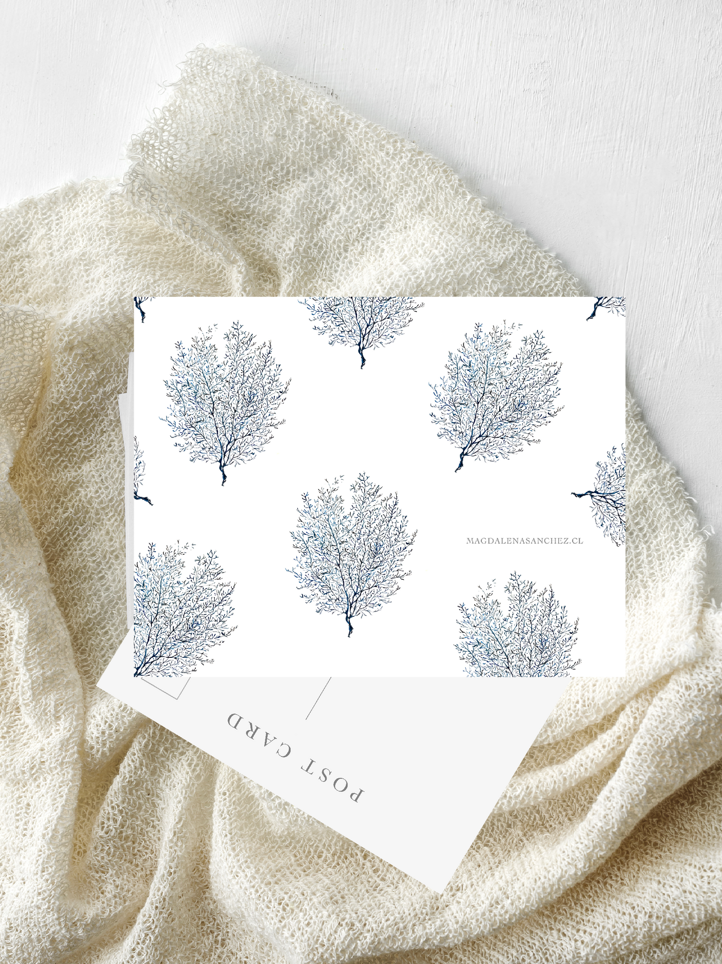 Postal Coral Azul