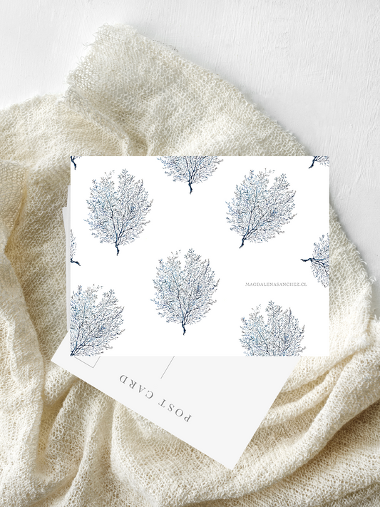 Postal Coral Azul