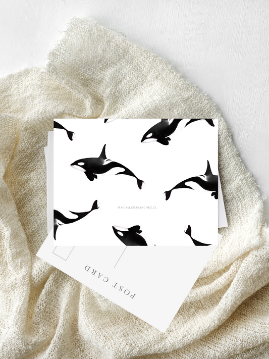 Postal Orca