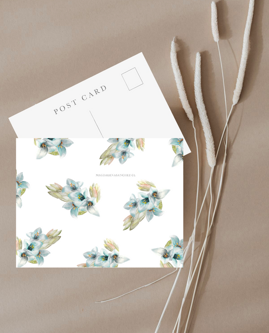Postal Chagual