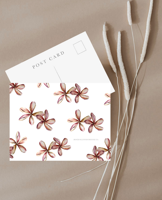 Postal Flores Tropicales