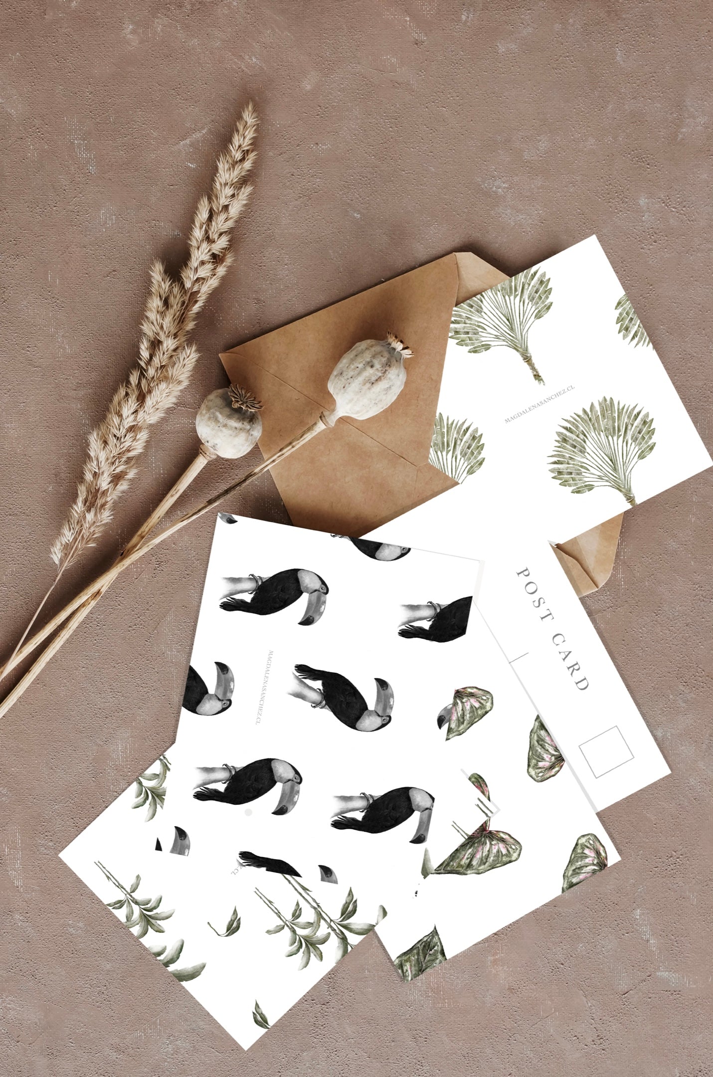 Set Postales Tropical