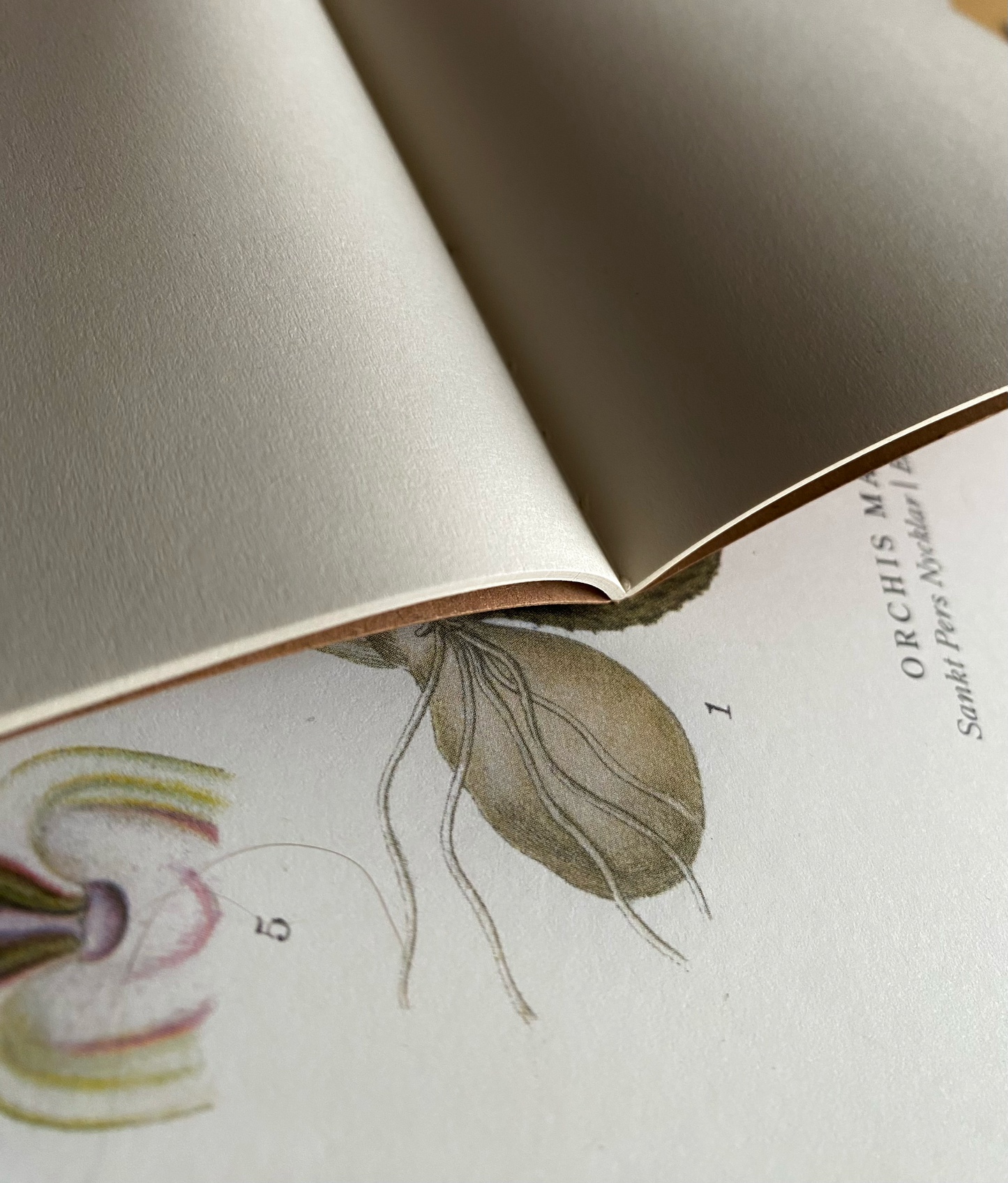 Libreta Silueta Mujer