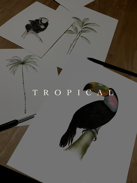 Taller Acuarela Animales y Botánica Tropical