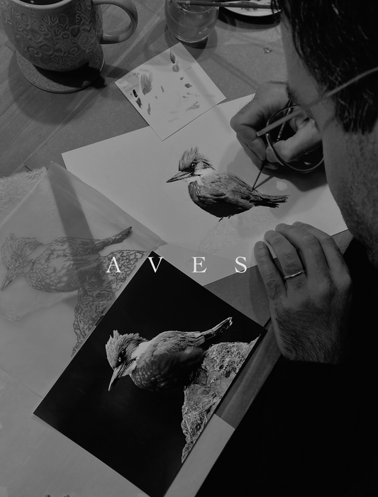 Taller Acuarela Aves