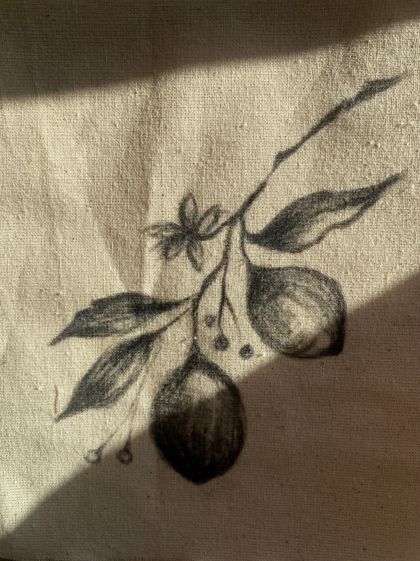 Limones a Carboncillo