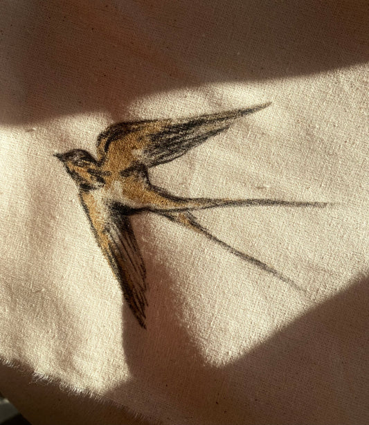 Golondrina a Carboncillo